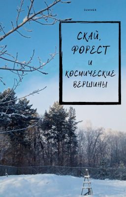 Скай, Форест и космические вершины