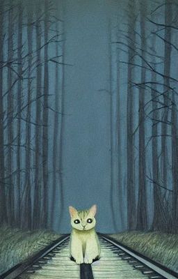 Ночной поезд