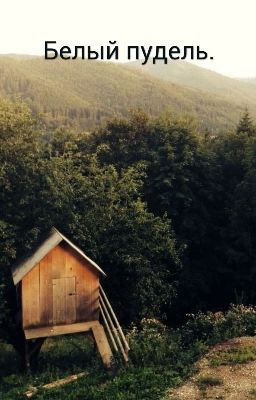 Белый пудель.