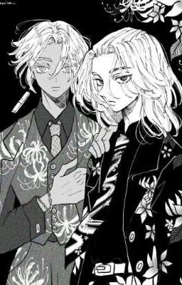 братья влюбленные в серую мышку 