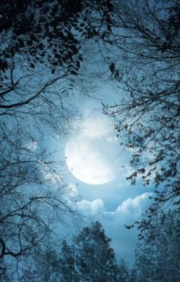 Под светом луны