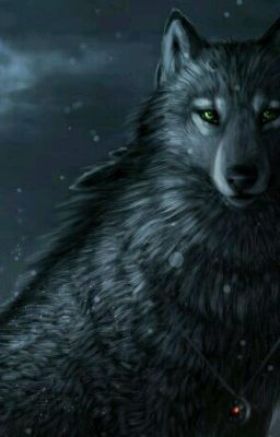 Черная Волчица