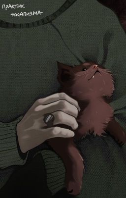 Необратимые метаморфозы