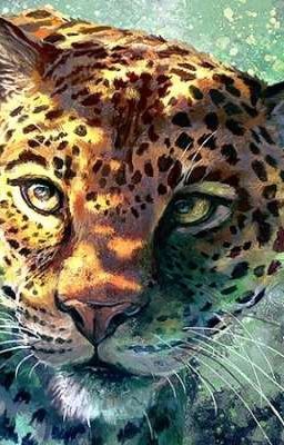 мир оборотней 