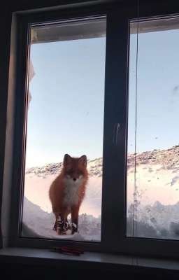 Рифмованные мысли