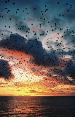 Алан и Барбара Пиз - "Язык взаимоотношений ( между мужчиной и женщиной)"