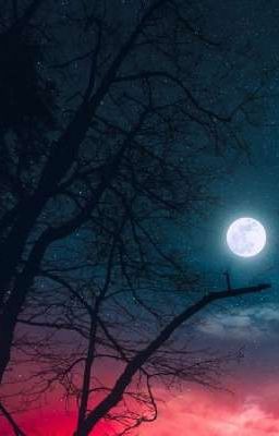 Обыкновенная история выживших