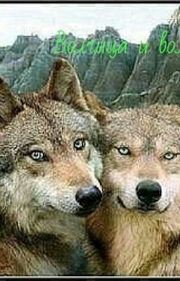 Волчица и волчонок