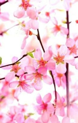 Любовь,ссора,слезы,разлука!