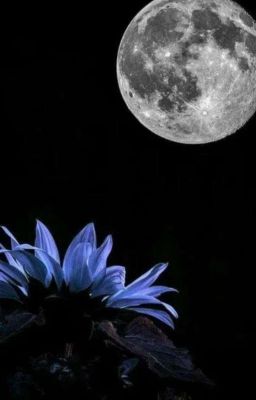   Боль не уходит, а любовь не проходит