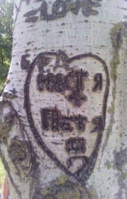 краткие расказы с просторов интернета