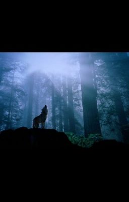 Школа оборотней