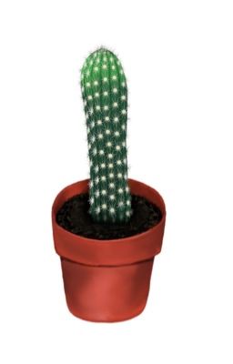 Скучные истории