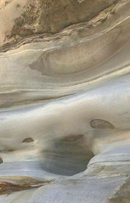 ЛЮБИМОЕ БЛЮДО