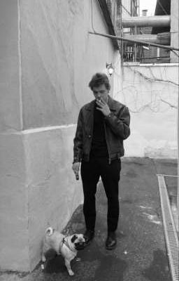 Я. Ненавижу. Тебя. Турбо