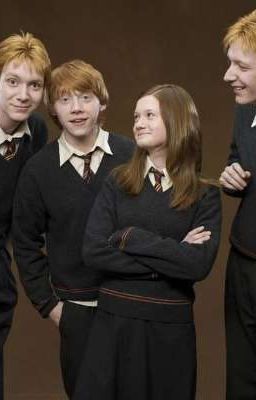 Хогвартс [моя новая семья] 