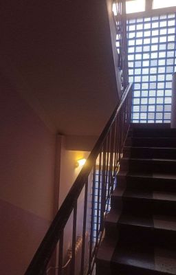 2 палаты, 1 любовь ❤️‍🔥💋