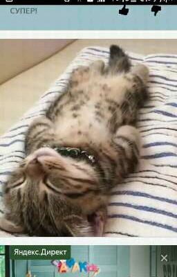          Идеи для Драмионы