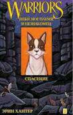 Коты-Воители. Небесное племя и незнакомец. Книга 1. Спасение