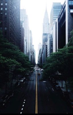 Нью Йорк свел нас