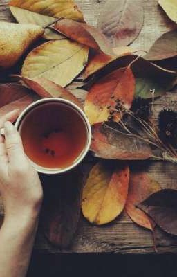 Противостояние