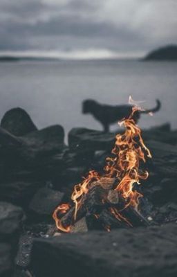 Внутривенно