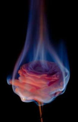 проблемы||стихи