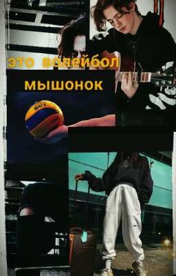 -это волейбол мышонок
