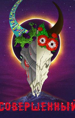 Совершенный