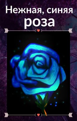 Нежная, синяя роза