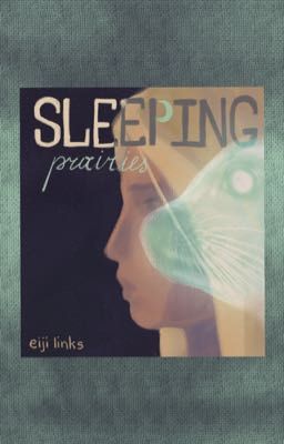 Sleeping prairies • спящие прерии