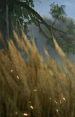 Война против Жизни