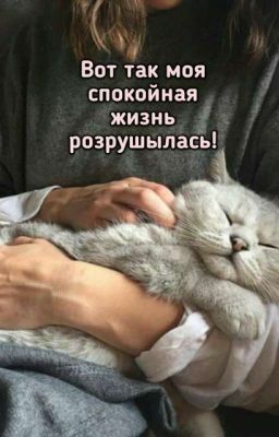 Вот так моя спокойная жизнь розрушылась!