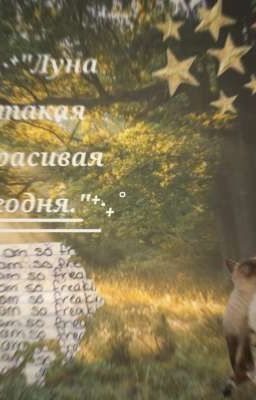 "The moon is beautiful today, isn't it?"