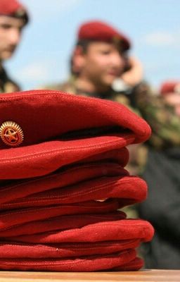 Краповый берет 