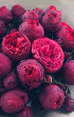 Серая масса безликих людей.