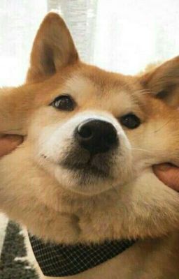 Рассказы О Друзьях