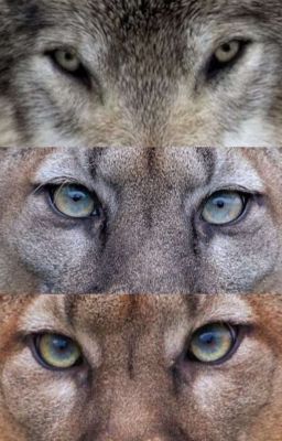 выбор между другом и врагом 