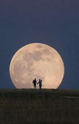 танцы под луной｡⁠*ﾟ⁠+