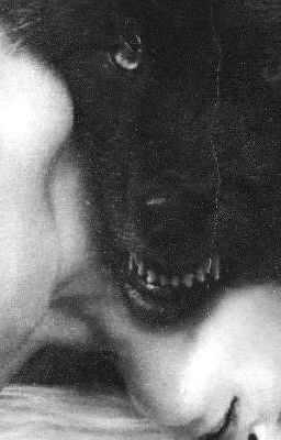 почему именно Пол?