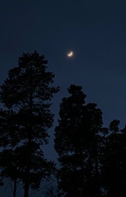 Общение, дружба или что то большее 