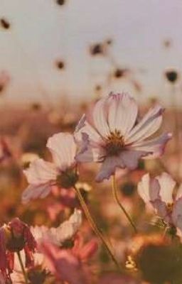 Маленькая девочка в Большом Мире