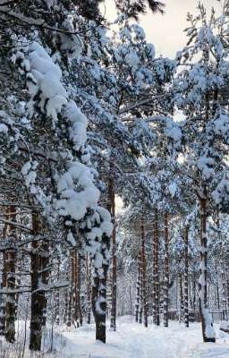 Возрождение лунного мальчика