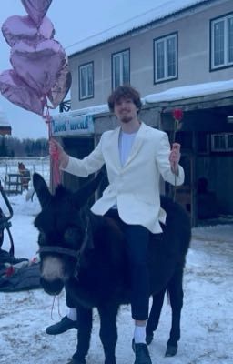 Жизнь до и после//данонфлекс 