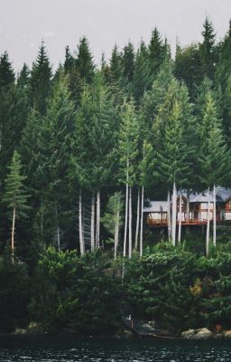 Мои любимые голубые глаза.