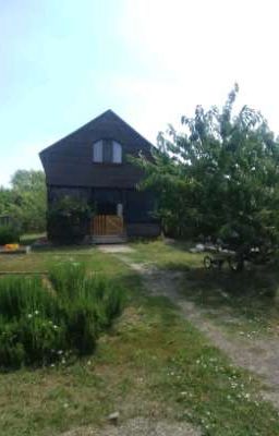 ужасы старой дачи.