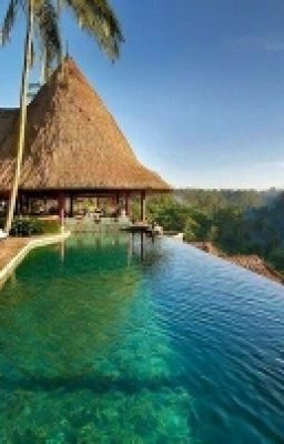 Суровая Любовь