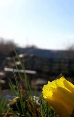 Ваню ебут дважды