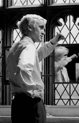 Проклятие Малфоя 