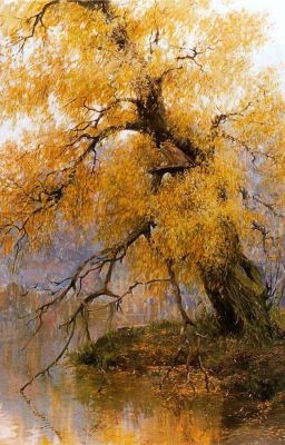 Плакучая ива